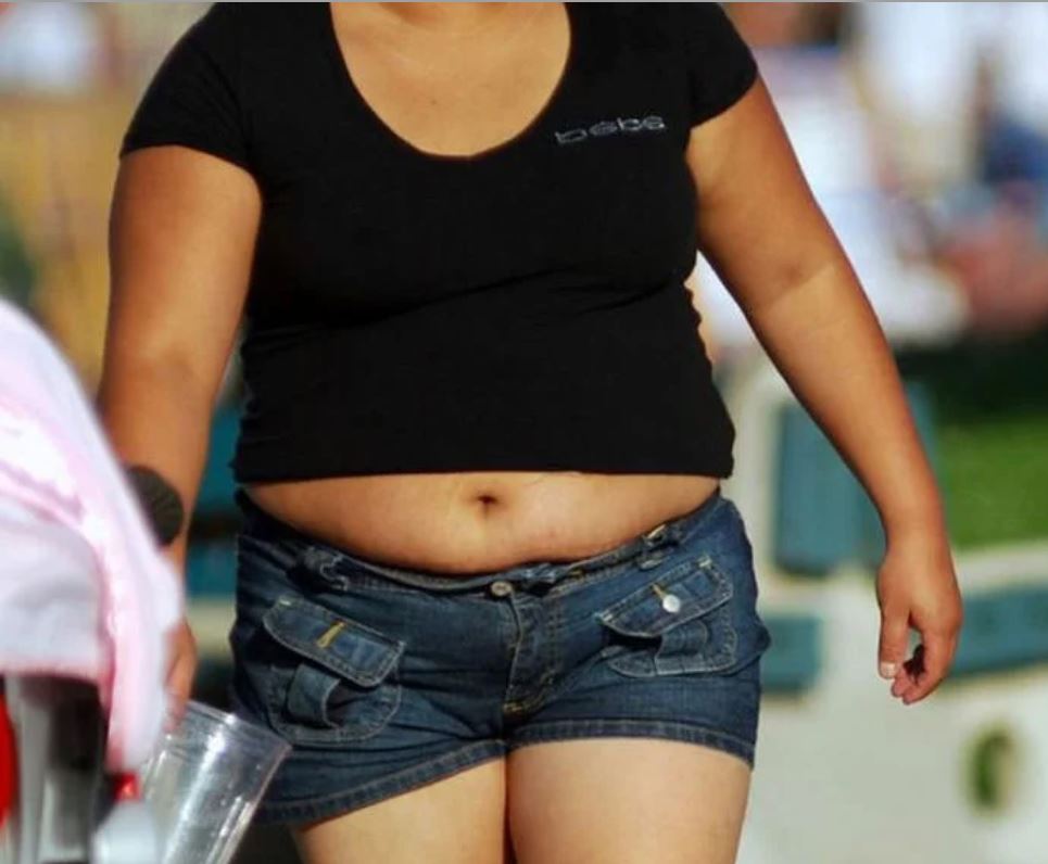 Шорты для толстых женщин